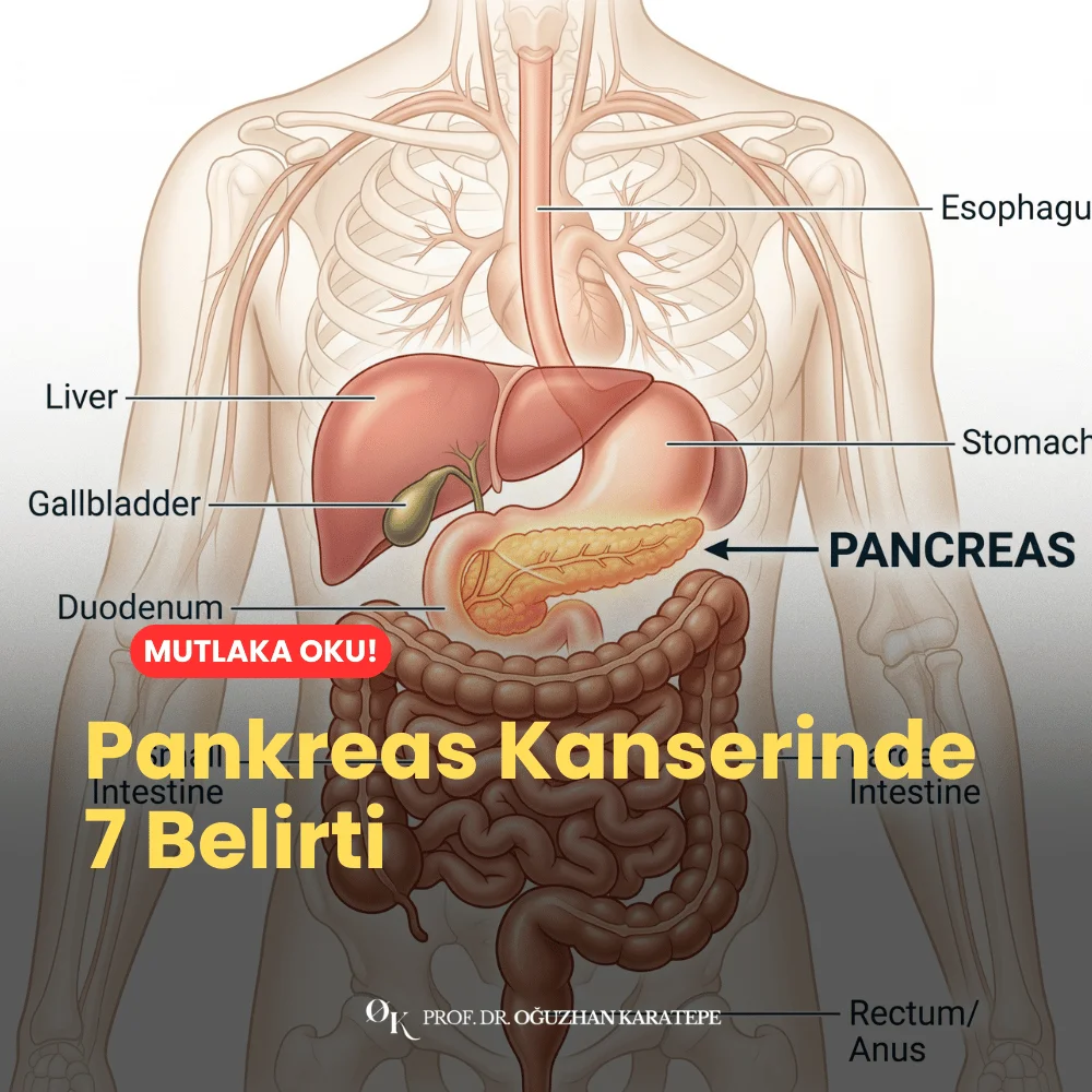 Pankreas Kanserinde 7 Belirti nedir