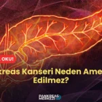 Pankreas Kanseri Neden Ameliyat Edilmez?